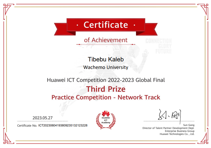 Huawei ICT – Global Final
